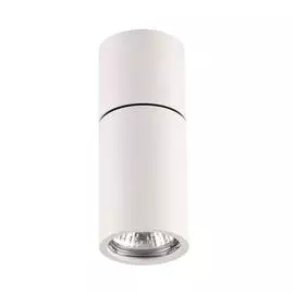 Светильник Odeon Light DUETTA 3582/1C