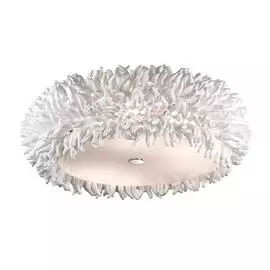 Светильник Odeon Light Esma 2755/6C