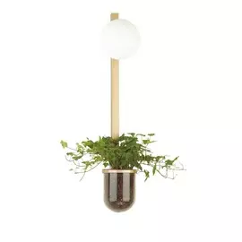 Светильник Odeon Light FLOWER 4682/1WB