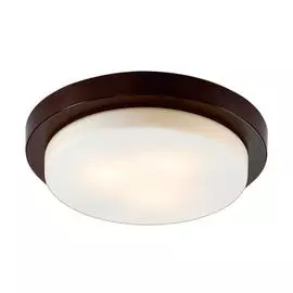 Светильник Odeon Light HOLGER 2744/3C