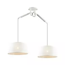 Светильник Odeon Light LOKA 4160/2