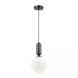 Светильник Odeon Light OKIA 4668/1