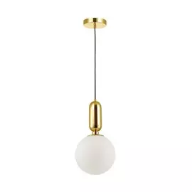 Светильник Odeon Light OKIA 4669/1