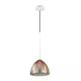 Светильник Odeon Light PAOLO 4010/1