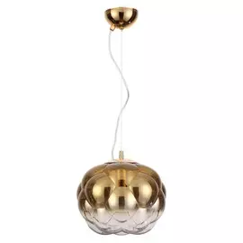 Светильник Odeon Light PECOLA 4701/1A