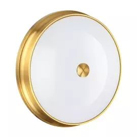 Светильник Odeon Light WALLI 4824/4C