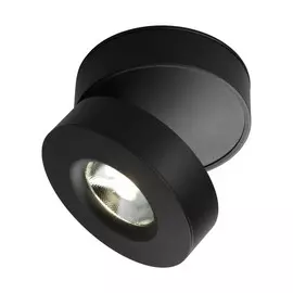 Светильник Omnilux BORGETTO OML-101919-12