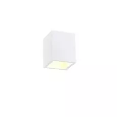 Светильник Simple Story 2019-1CLW