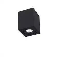 Светильник Simple Story 2038-1CLB