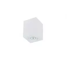 Светильник Simple Story 2038-1CLW