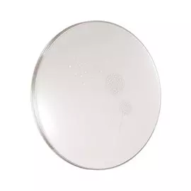 Светильник Sonex AIRITA 3005/EL