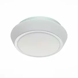 Светильник St Luce Bagno SL496.502.01