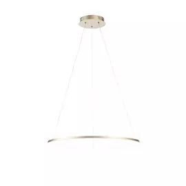 Светильник St Luce ERTO SL904.213.01