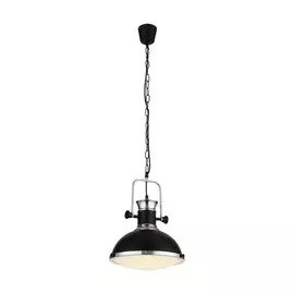Светильник St Luce LANTERIO SL404.103.01