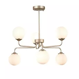Светильник St Luce REDJINO SLE106203-06