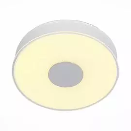 Светильник St Luce Semplicita SL473.052.01D
