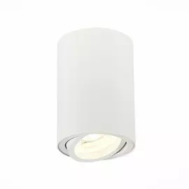 Светильник St Luce ST108.507.01