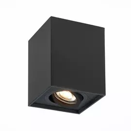 Светильник St Luce ST109.407.01