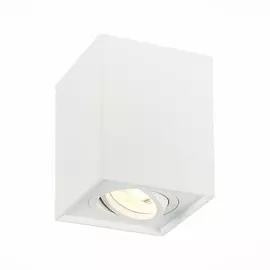 Светильник St Luce ST109.507.01