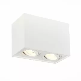 Светильник St Luce ST109.507.02