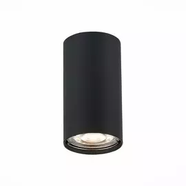 Светильник St Luce ST110.407.01