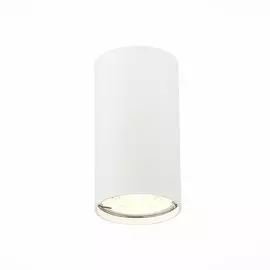 Светильник St Luce ST110.507.01