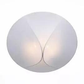 Светильник St Luce TONICO SL360.552.02