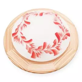 Светильник Toplight Arialda TL9501Y-01PN