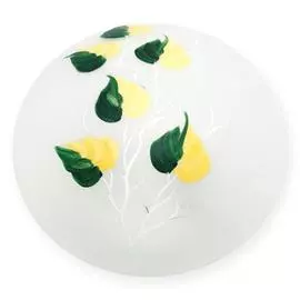 Светильник Toplight Enilu TL9460Y-02OA