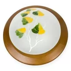 Светильник Toplight ENILU TL9461Y-01OA