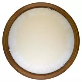 Светильник Toplight GINGER TL9620Y-00OA