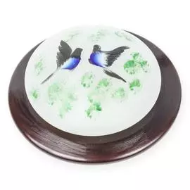 Светильник Toplight Jeler TL9481Y-01OA