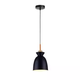 Светильник Toplight MARYLOU TL1202H-01BK