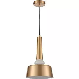 Светильник Vele Luce APPASSIONATO VL2144P01