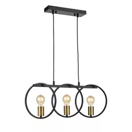 Светильник Vele Luce LIBERTY VL6302P03