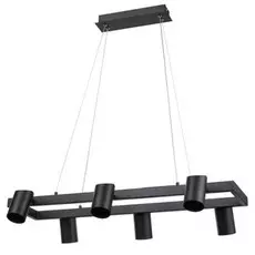 Светильник Vele Luce ZOOM VL10122P06