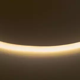 Светодиодная лента Lightstar NEOLED 430202