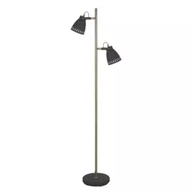 Торшер Camelion KD-428BF-2 C67