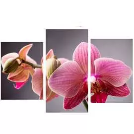 Трехмодуль Toplight 65х99 TL-TM1008