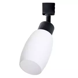 Трековый светильник Arte Lamp MIIA A3055PL-1BK
