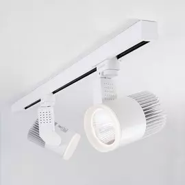 Трековый светильник Elektrostandard ACCORD LTB43 4690389138485