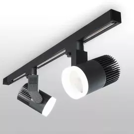 Трековый светильник Elektrostandard ACCORD LTB44 4690389138492