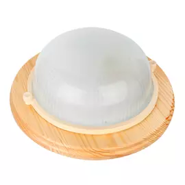 Уличный Светильник Camelion НБП 03-60-0011