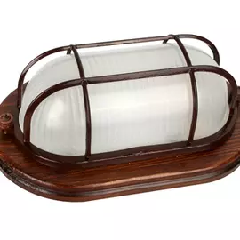 Уличный Светильник Camelion НБП 04-60-0022