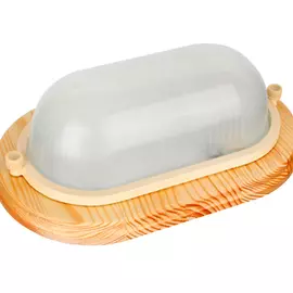 Уличный Светильник Camelion НБП 04-60-0011