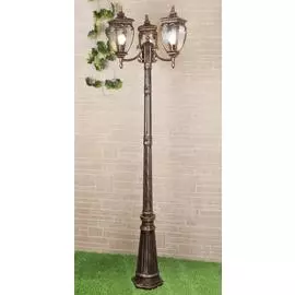 Уличный Светильник Elektrostandard Andromeda Glyf-8024f/3 4690389042713