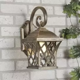 Уличный Светильник Elektrostandard CASSIOPEYA Cassiopeya D 4690389017315