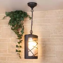 Уличный Светильник Elektrostandard PREMIER Gl 1017h 4690389115219