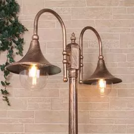 Уличный Светильник Elektrostandard Saga Gl 1020f/2 4690389115608