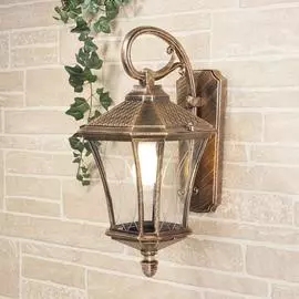 Уличный Светильник Elektrostandard Virgo Glxt-1450d 4690389064845